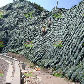 廣州噴土噴草公司邊坡噴播掛網(wǎng)植草綠化